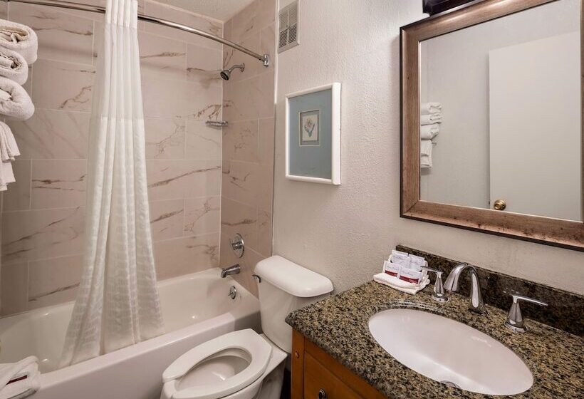 Magnuson Hotel Detroit Metro Airport