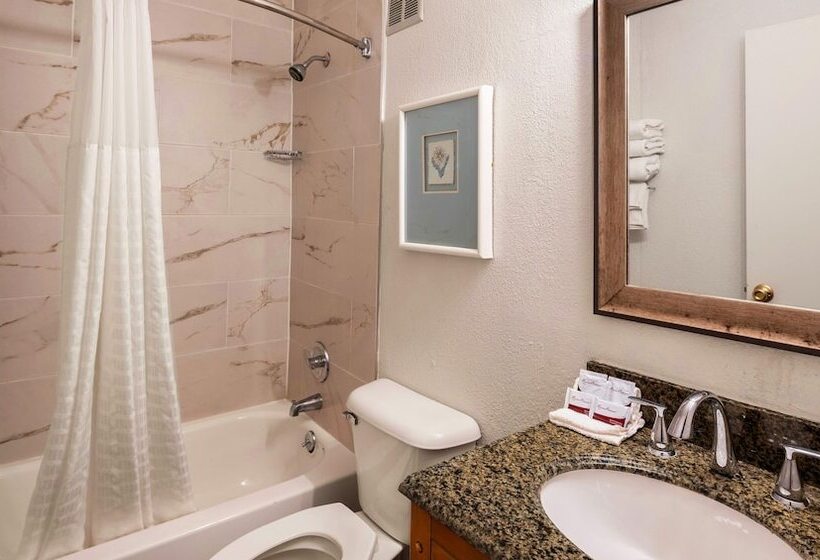 Magnuson Hotel Detroit Metro Airport