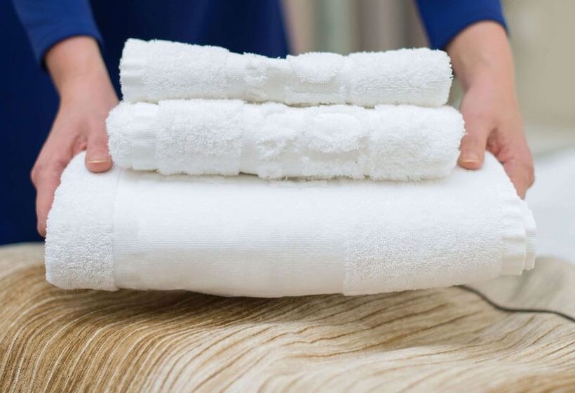 Magnuson Hotel Detroit Metro Airport