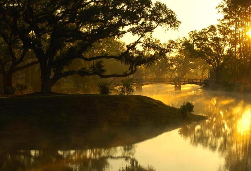 فندق Montage Palmetto Bluff Residences