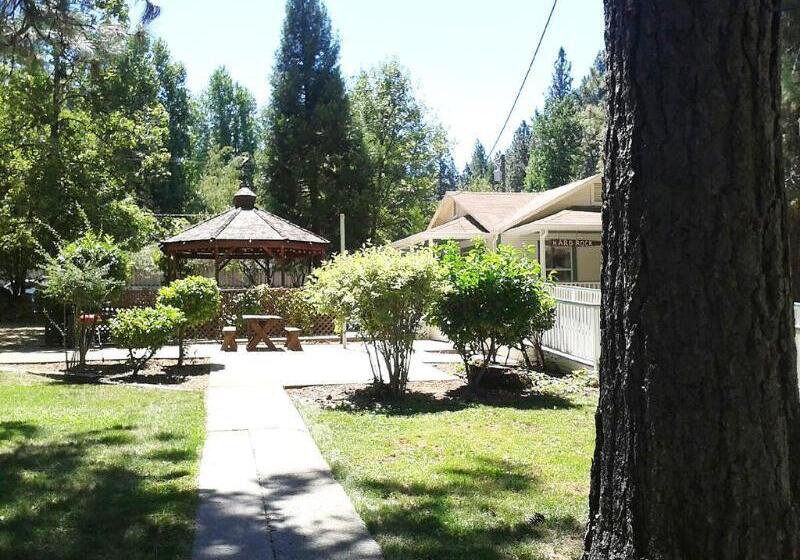 فندق Nevada City Inn