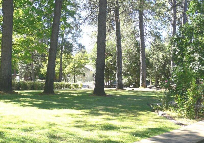 فندق Nevada City Inn