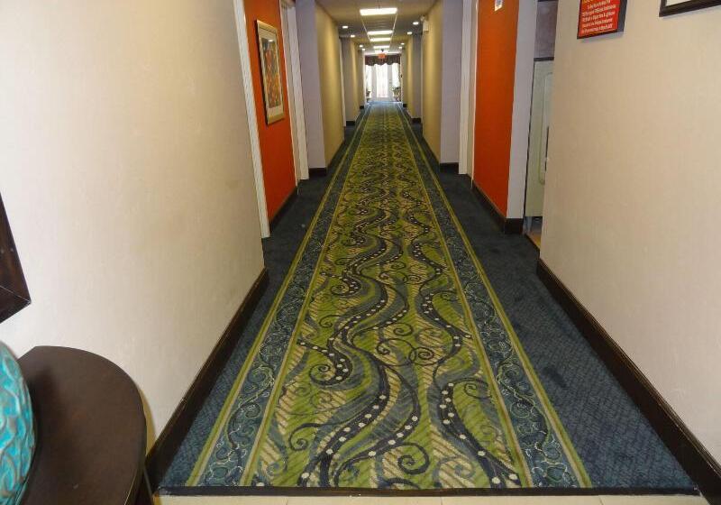 فندق Ocean Sands Beach Boutique Inn 1 Acre Private Beach St Augustine Historic 2 Miles Shuttle With Downt