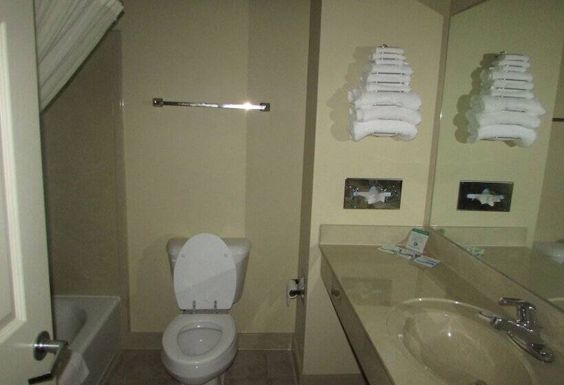 בית מלון כפרי Plantation Oaks