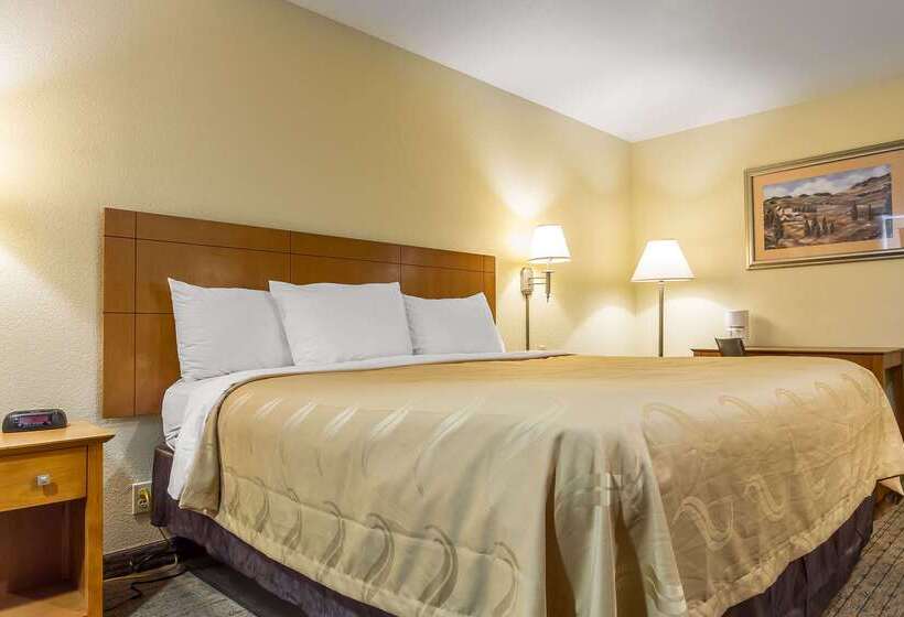 فندق Quality Inn & Suites