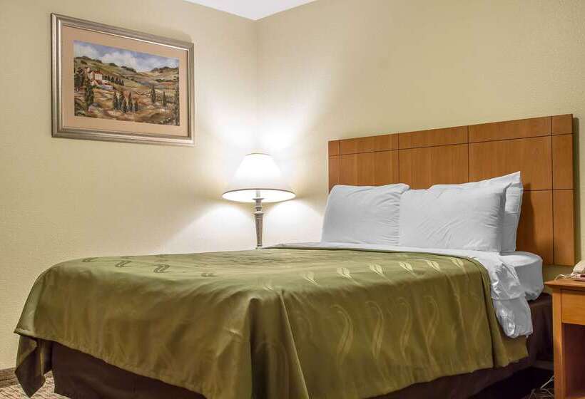 فندق Quality Inn & Suites