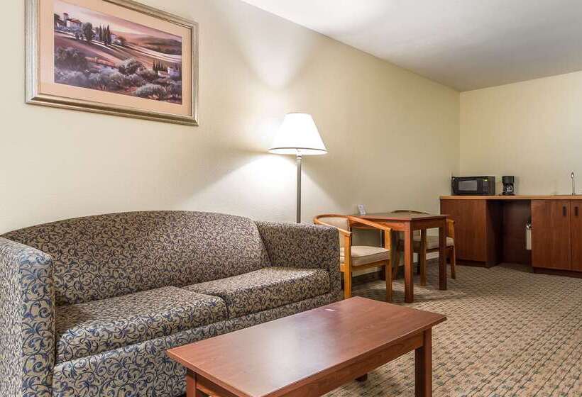 فندق Quality Inn & Suites