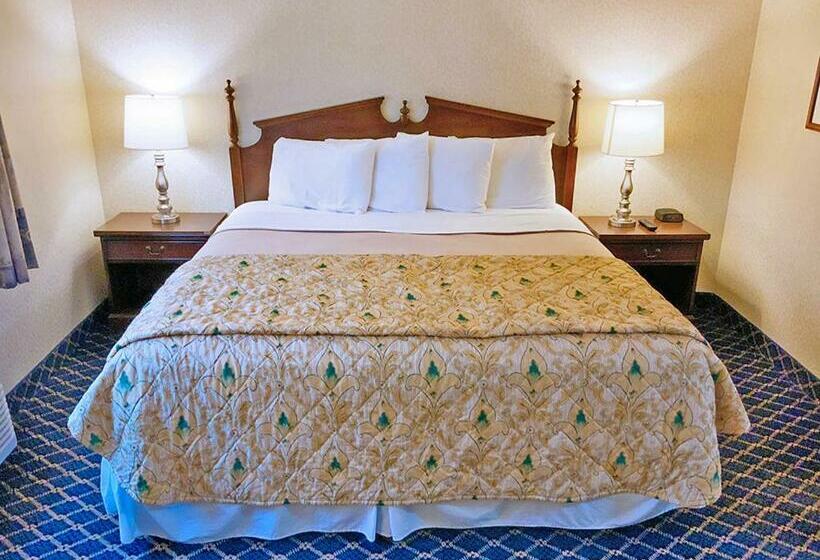 בית מלון כפרי Regency Inn & Suites