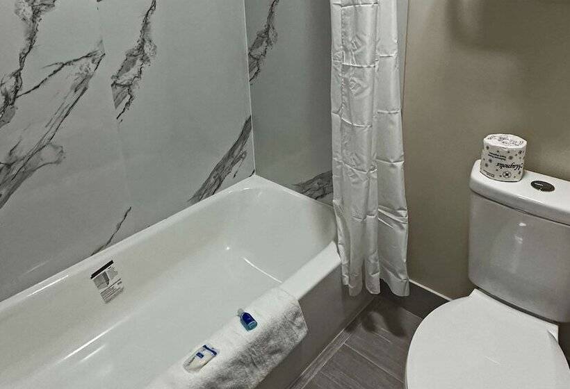 فندق Suburban Studios Lavale   Cumberland