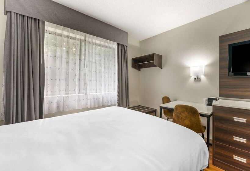 فندق Suburban Studios Lavale   Cumberland