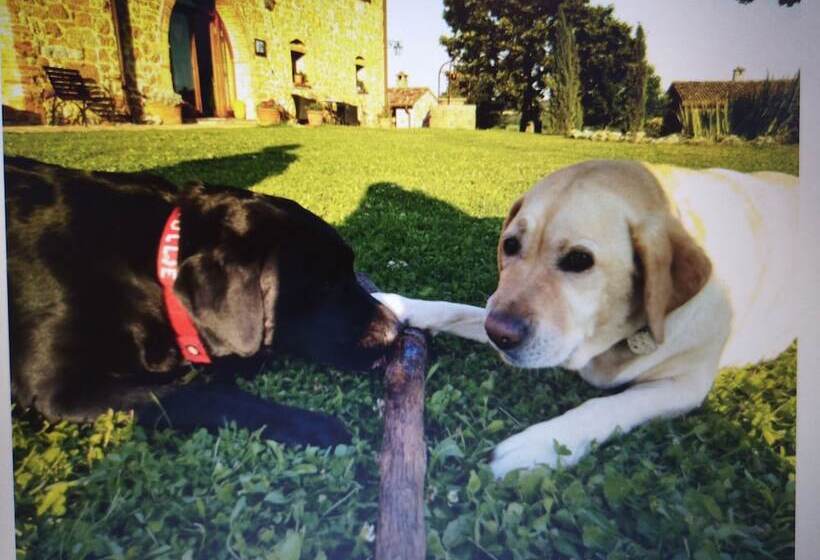 田舎風ホテル Locanda Vesuna Countryhouse