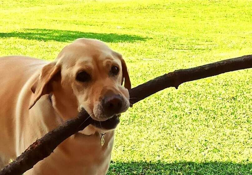 田舎風ホテル Locanda Vesuna Countryhouse