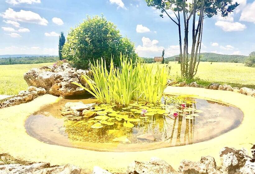 田舎風ホテル Locanda Vesuna Countryhouse