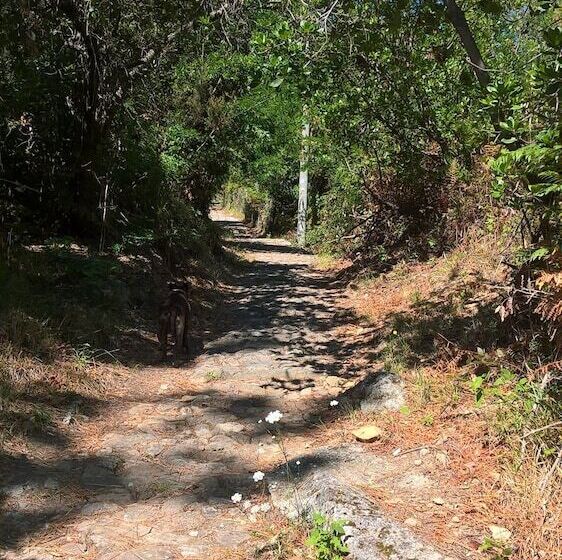 בית מלון כפרי Sette Archi