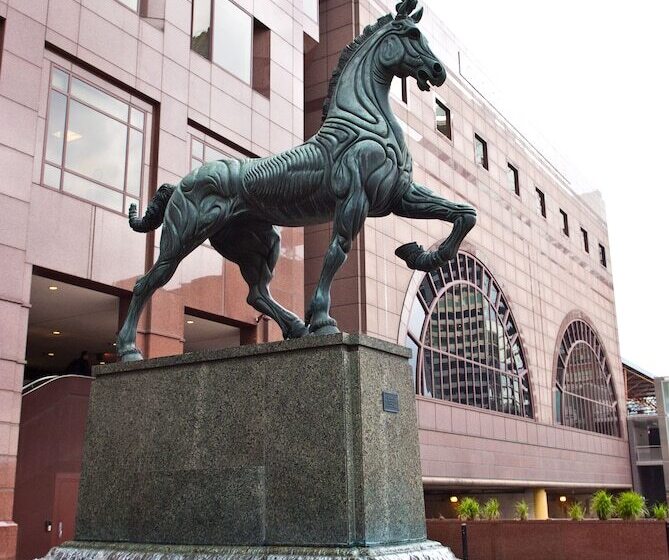 هتل The Buckingham