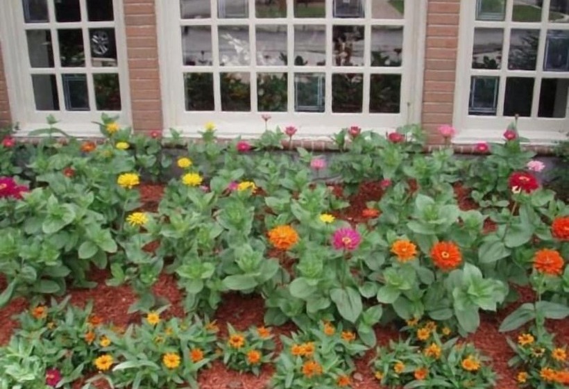 The Chateau Bloomington Hotel And Conference Center