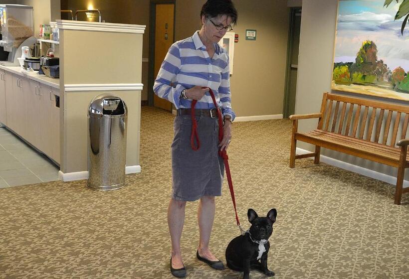 ホテル The Great Falls Inn By Riversage