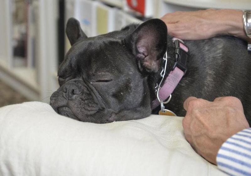 ホテル The Madison Inn