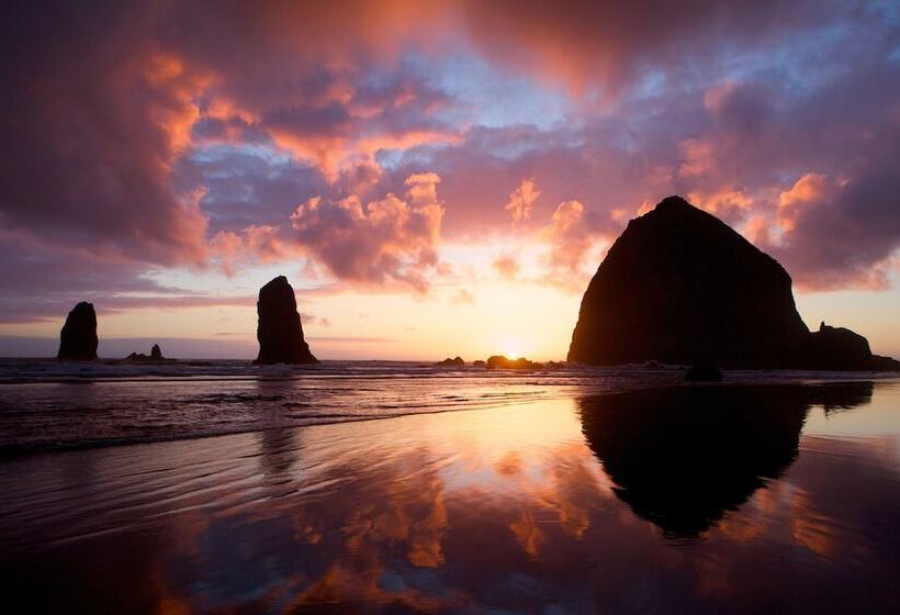 فندق The Ocean Lodge