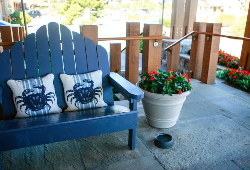 فندق The Ocean Lodge