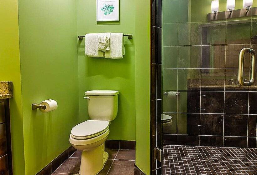 هتل The Resort At Governor's Crossing