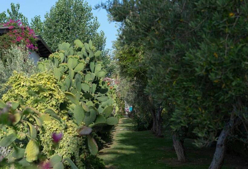 호텔 Vascellero Club Resort