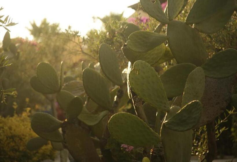 호텔 Vascellero Club Resort