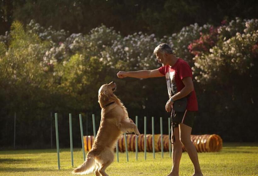 호텔 Vascellero Club Resort