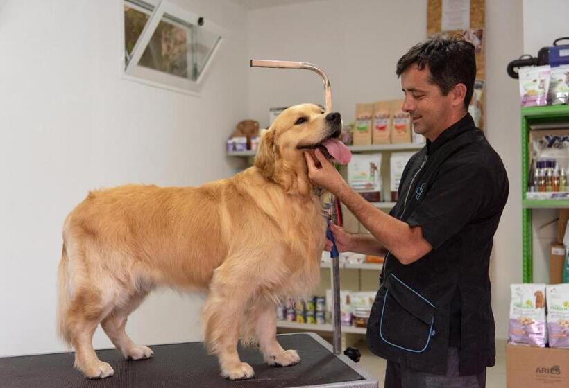 호텔 Vascellero Club Resort