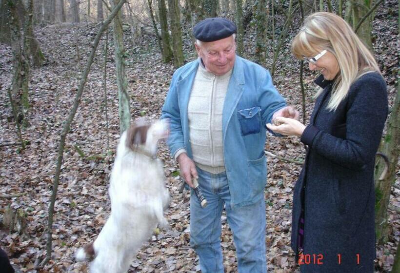 酒店 Villa La Favorita