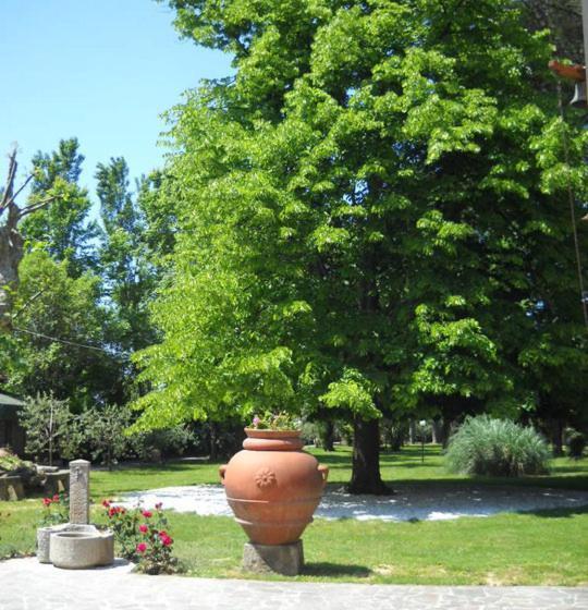 בית מלון כפרי Villa Maya