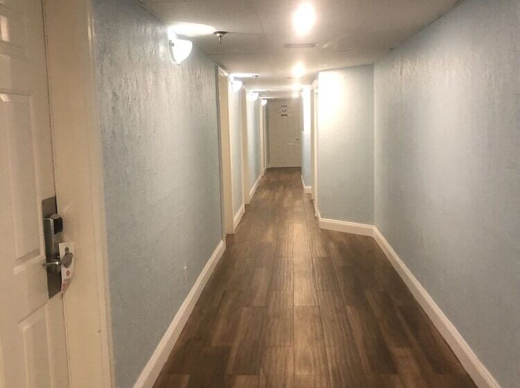 فندق على الطريق Beachside Hotel   Daytona Beach   No Pool