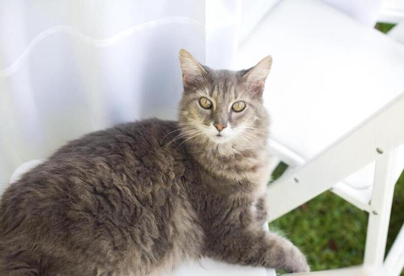 모텔 Rainbow Courts