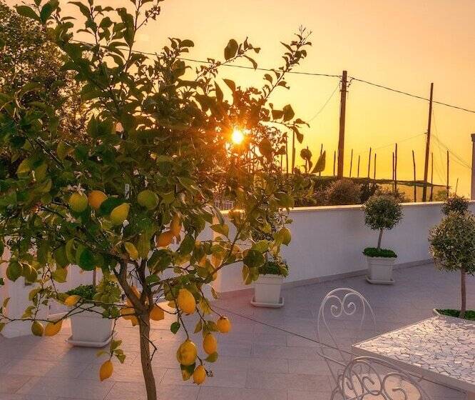 Residence Le Terrazze