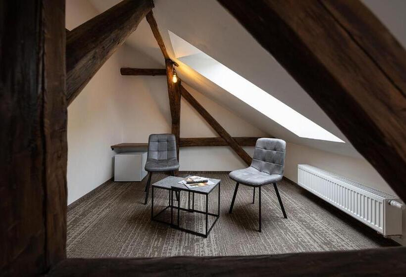 Apartsee Wellness Plzeň