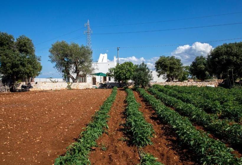 تختخواب و صبحانه Guardian's House