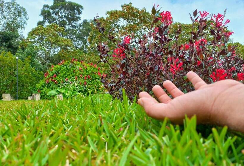 تختخواب و صبحانه Wayra Natura