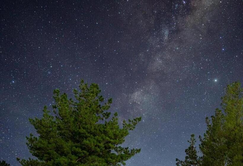 בית מלון כפרי Alpha Excelsior Guest Farm