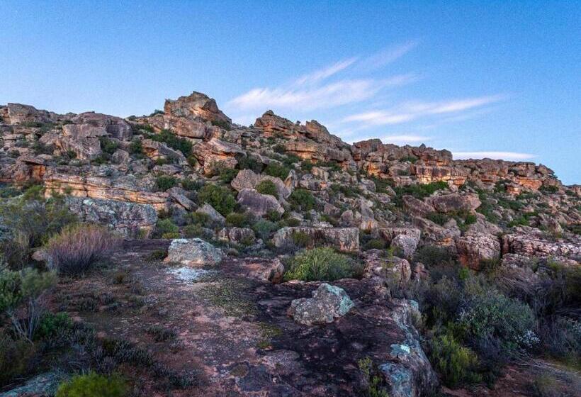 בית מלון כפרי Alpha Excelsior Guest Farm