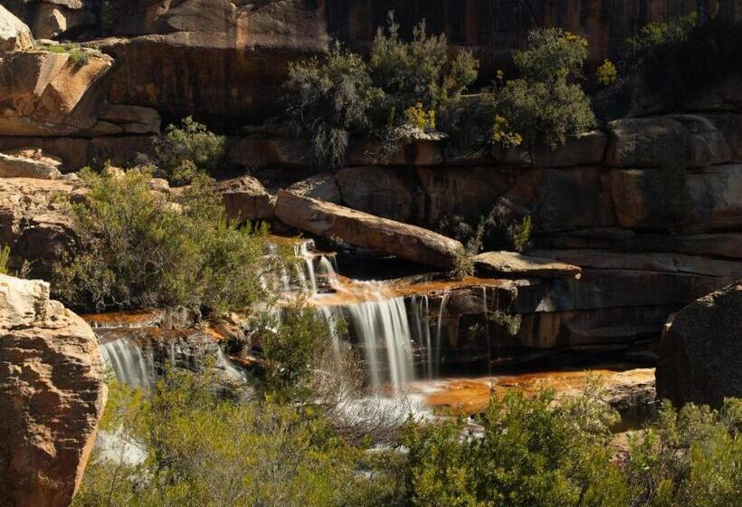 בית מלון כפרי Alpha Excelsior Guest Farm