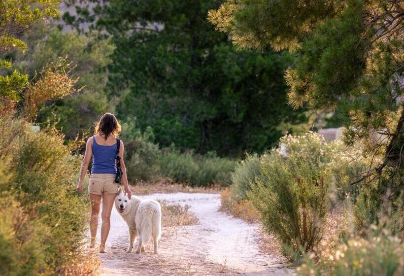 בית מלון כפרי Alpha Excelsior Guest Farm