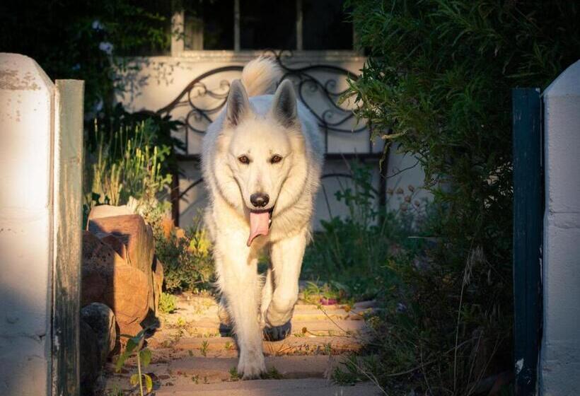 בית מלון כפרי Alpha Excelsior Guest Farm