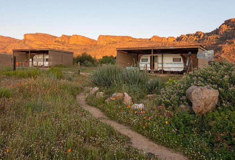 בית מלון כפרי Alpha Excelsior Guest Farm