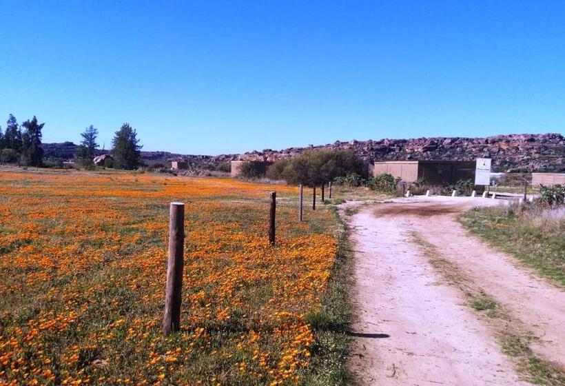 בית מלון כפרי Alpha Excelsior Guest Farm