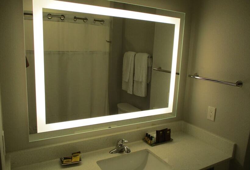 호텔 Best Western Plus Wills Point