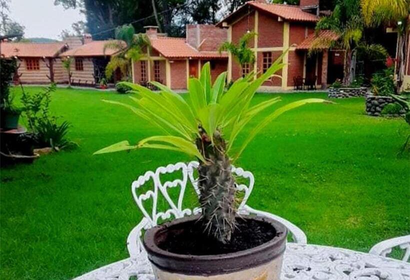 酒店 Cabanas Del Bosque By Rotamundos