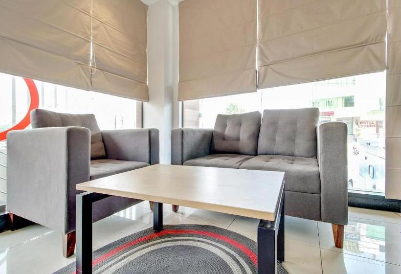 Hotel Collection O 41004 Shri Gopal Nagar