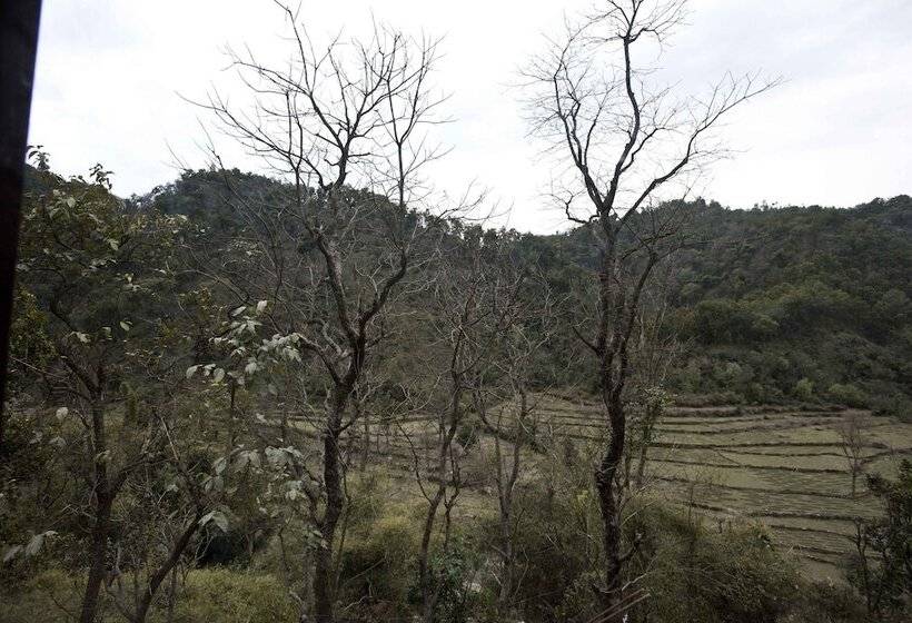 فندق Corbett Riviera