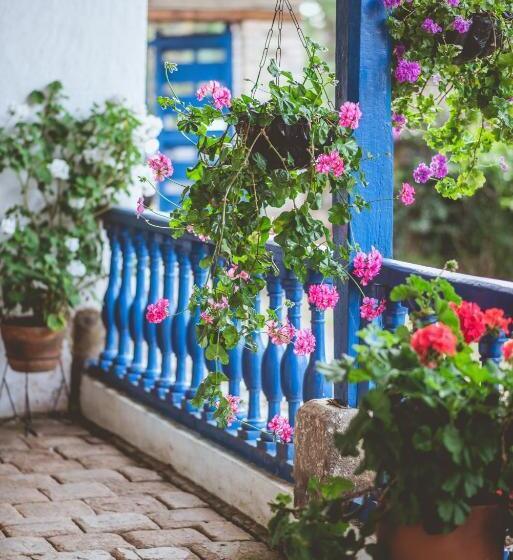 호텔 Hacienda Pisoje