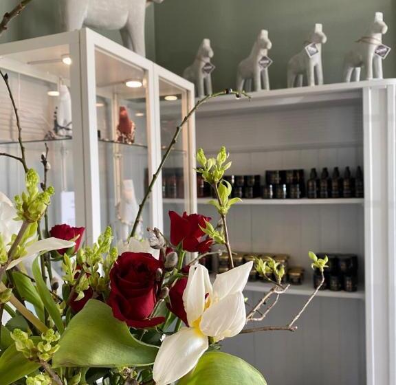 Отель Johannesbergs Slott